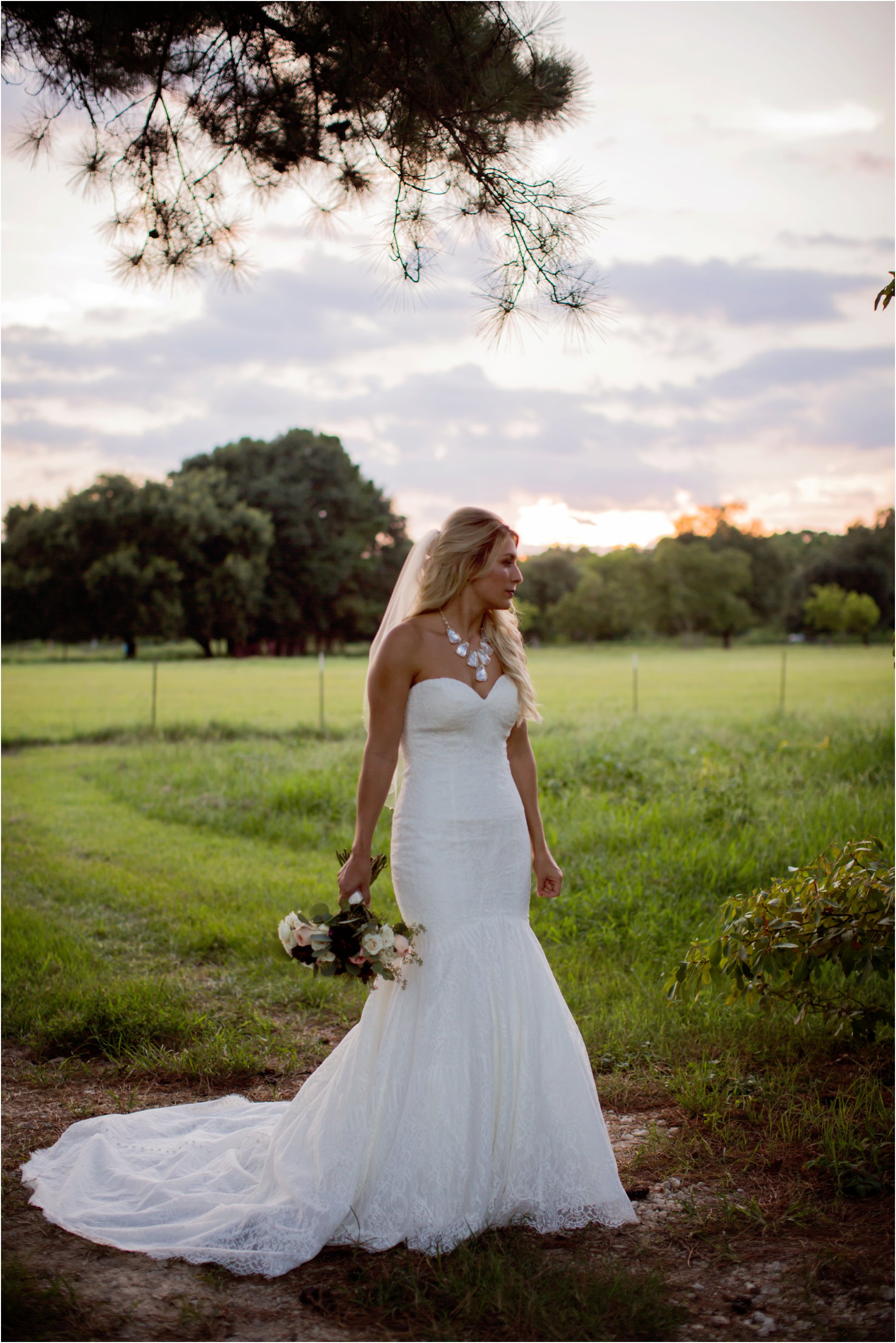 Wedding Photographer Sydney Packages